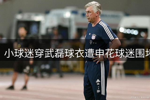 小球迷穿武磊球衣遭申花球迷围堵 国脚深夜急寻当事人